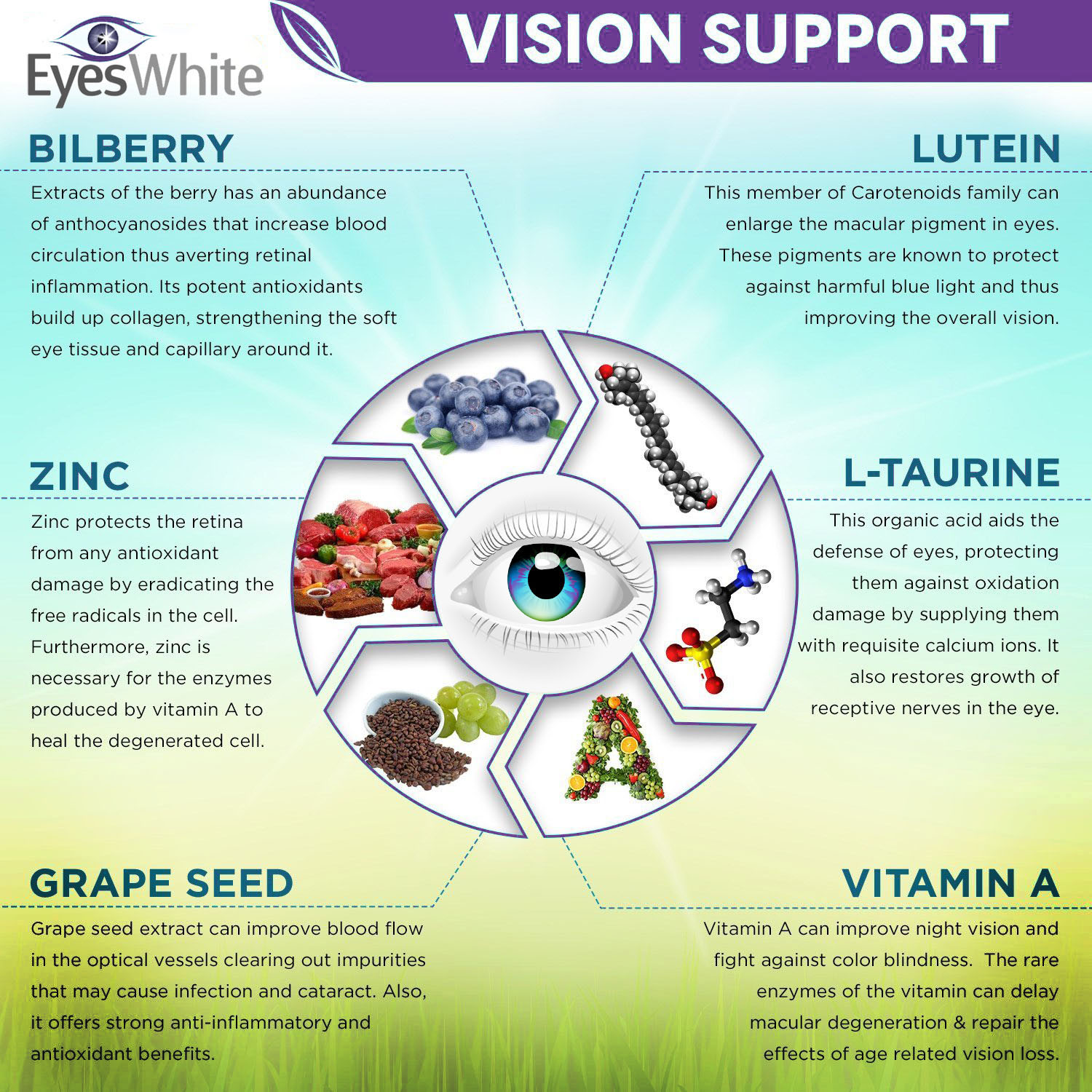 EyesWhite Eye Beauty Supplement 3 Pack Bundle - Lutein, Eyebright & Antioxidant Vision Support - 180 Capsules Total – image 5