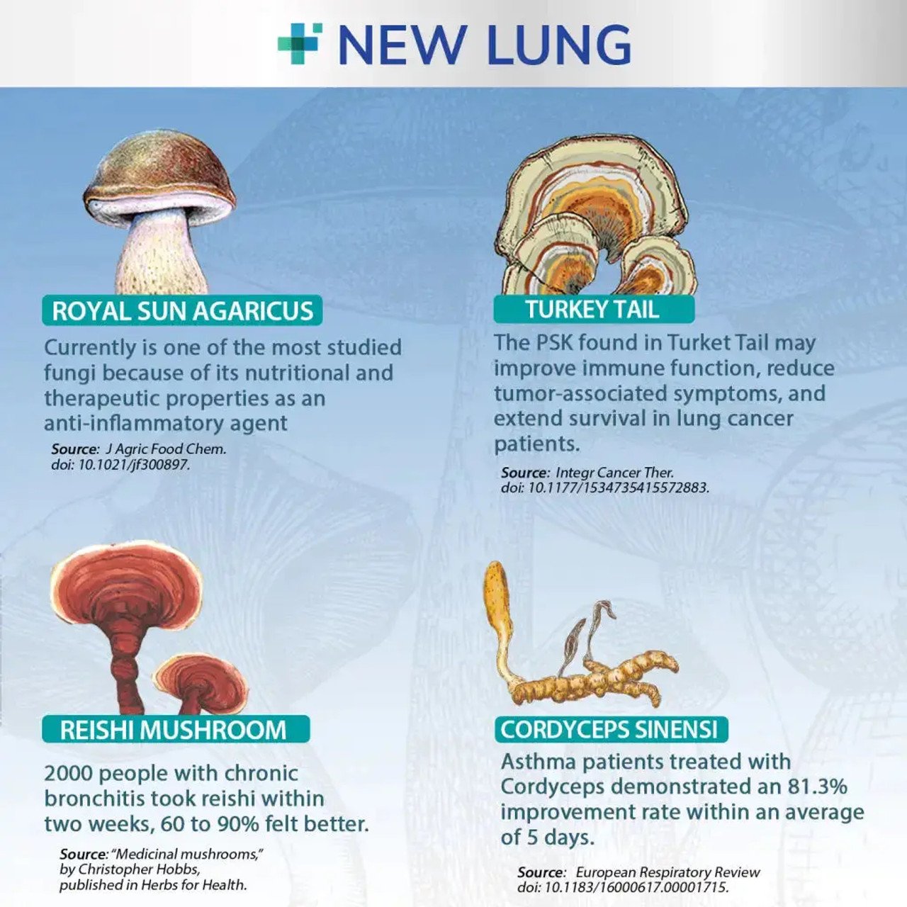 Mushroom Immune Aid and Lung Health Immunity - Boost Your Immune System and Lung Function with Medicinal Mushrooms - Reishi, Cordyceps, Chaga, and More - Natural Ingredients for Respiratory Health and Overall Well-being - 60 Servings – image 4