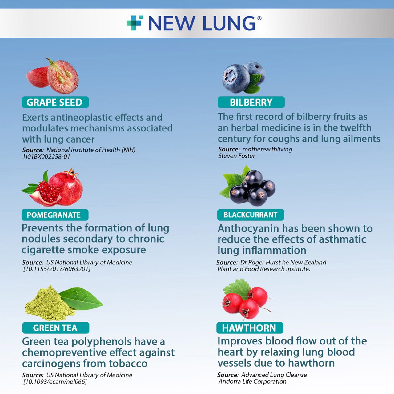 3 Bottle - BUNDLE DEAL - NEW LUNG - Lung Cleanse – image 4