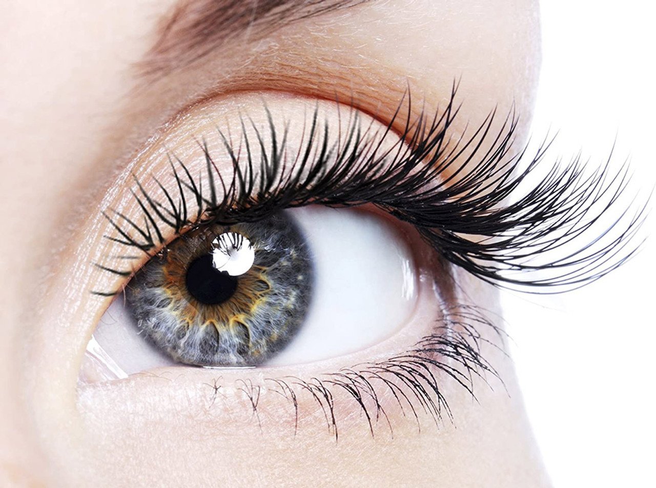 Long Lash Eyelash and Eyebrow Beauty Support Dietary Supplement 2-Pack - 120 Capsules Total – image 3