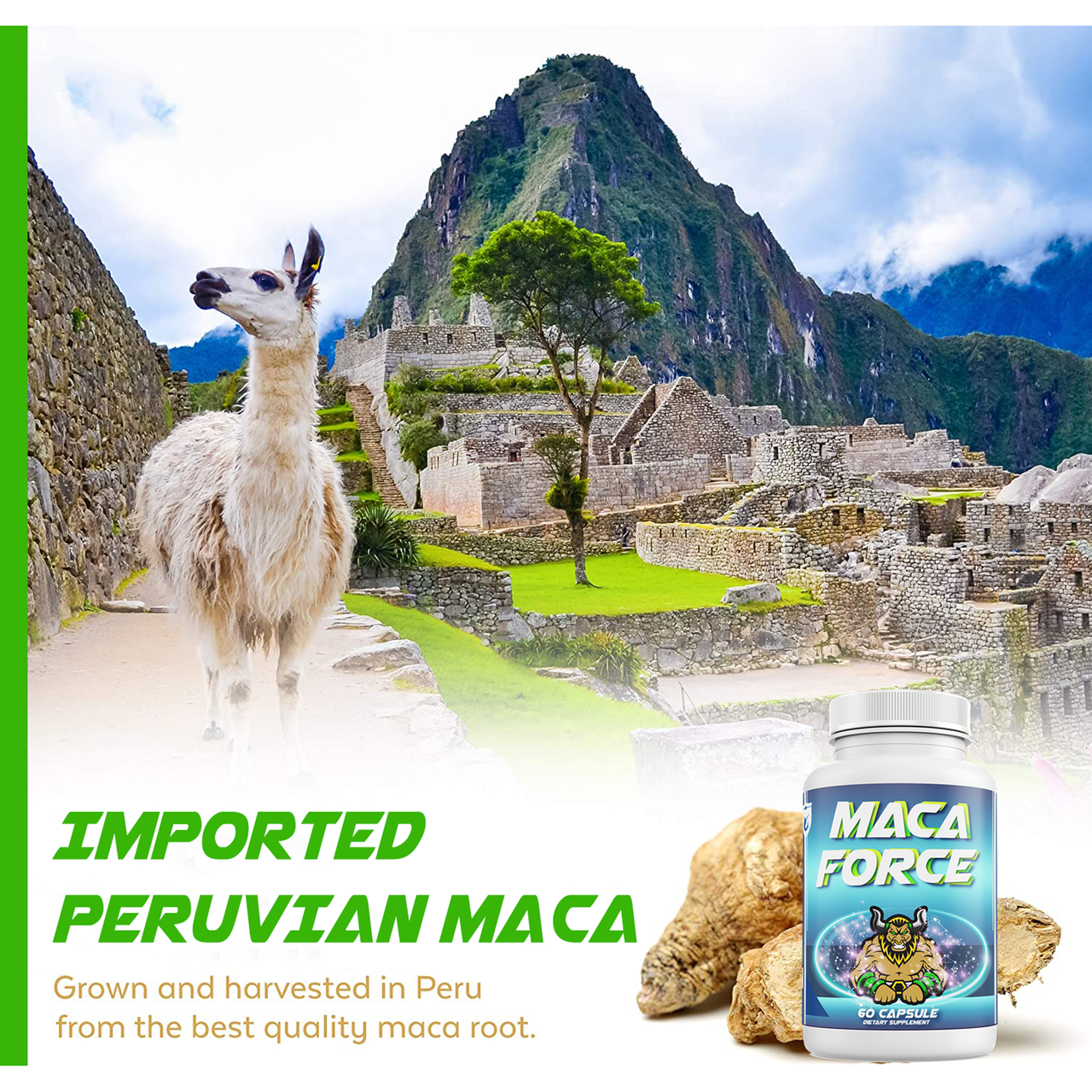 Maca Force Organic Root Supplement with Red, Black, and Yellow Maca by Success Chemistry - 60 Capsules – image 5