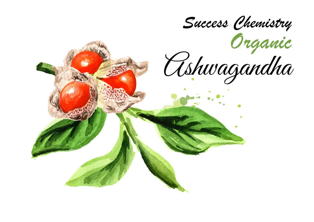 Organic Ashwagandha Supplement to Reduce Stress and Improve Muscle Health by Success Chemistry - 60 Capsules – image 4