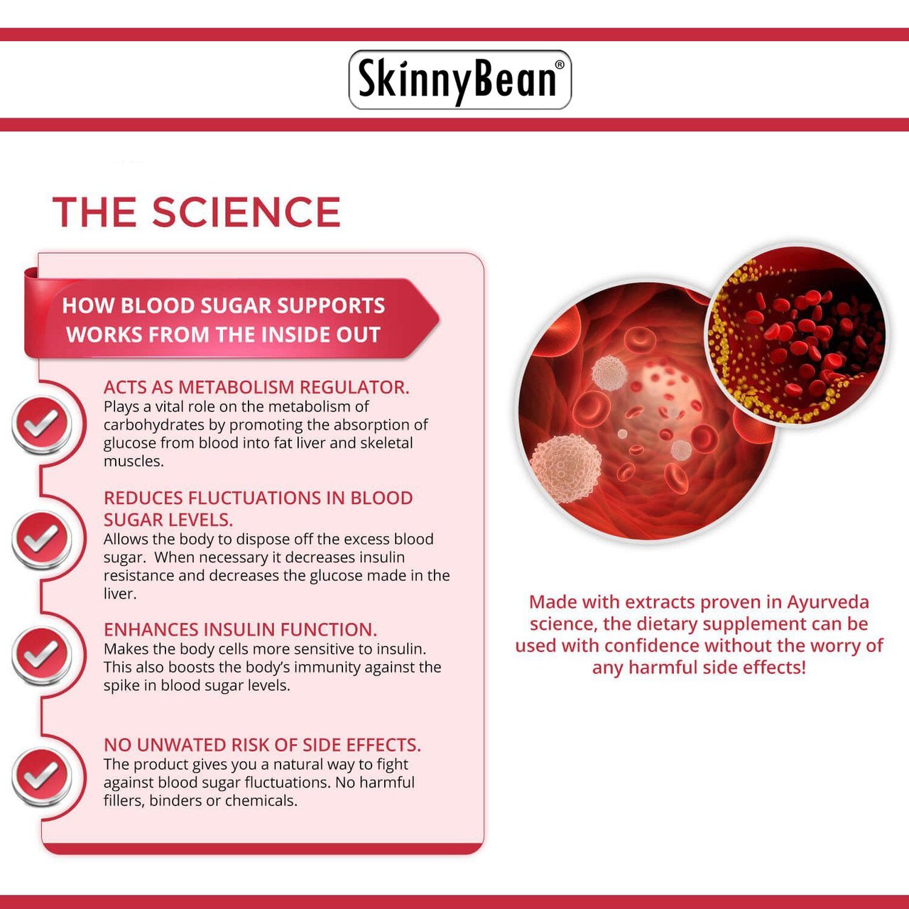 Balance Blood Sugar with Body Supplement by Success Chemistry - Support Healthy Glucose Levels and Metabolic Health with Natural Ingredients for Blood Sugar Control - 30 Day Supply - 470mg Per Serving - 60 Capsules – image 5