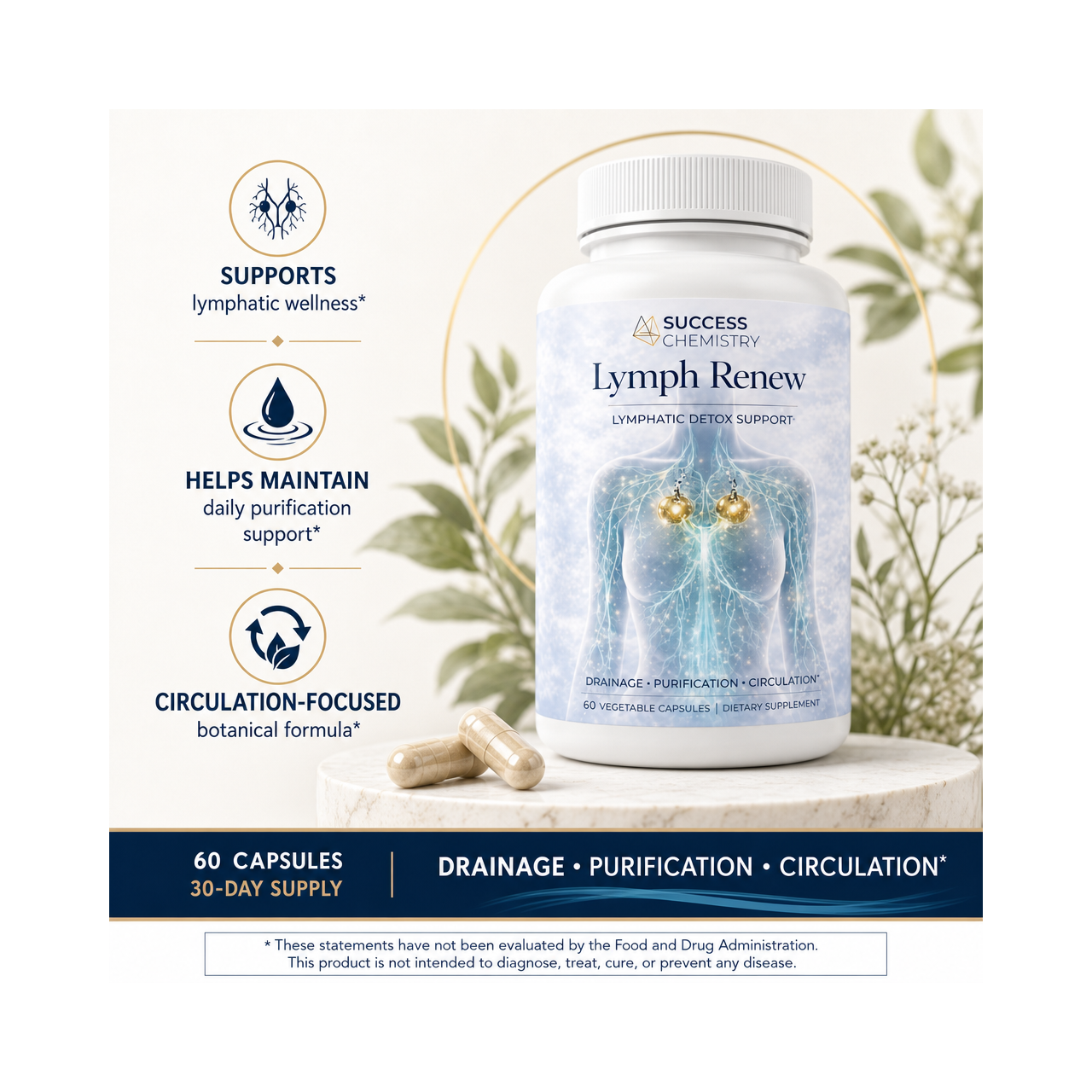 Success Chemistry Lymph Renew - Lymphatic Support with Milk Thistle, Beetroot & Artichoke - 60 Capsules – image 2