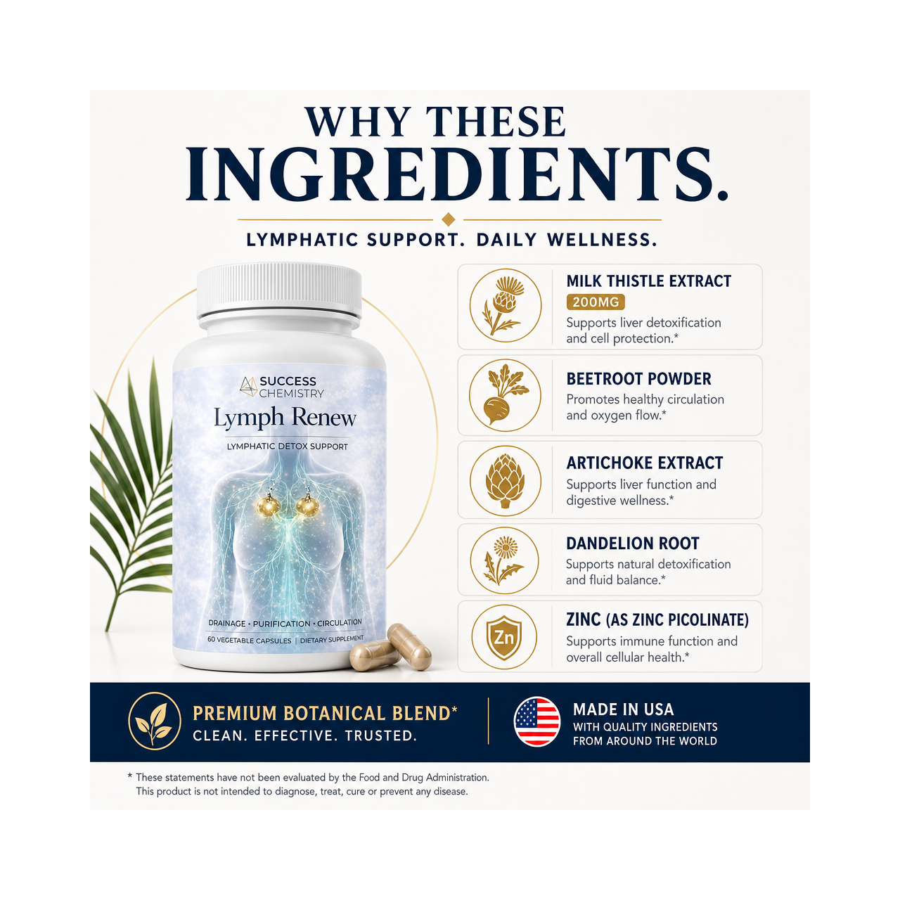 Success Chemistry Lymph Renew - Lymphatic Support with Milk Thistle, Beetroot & Artichoke - 60 Capsules – image 3