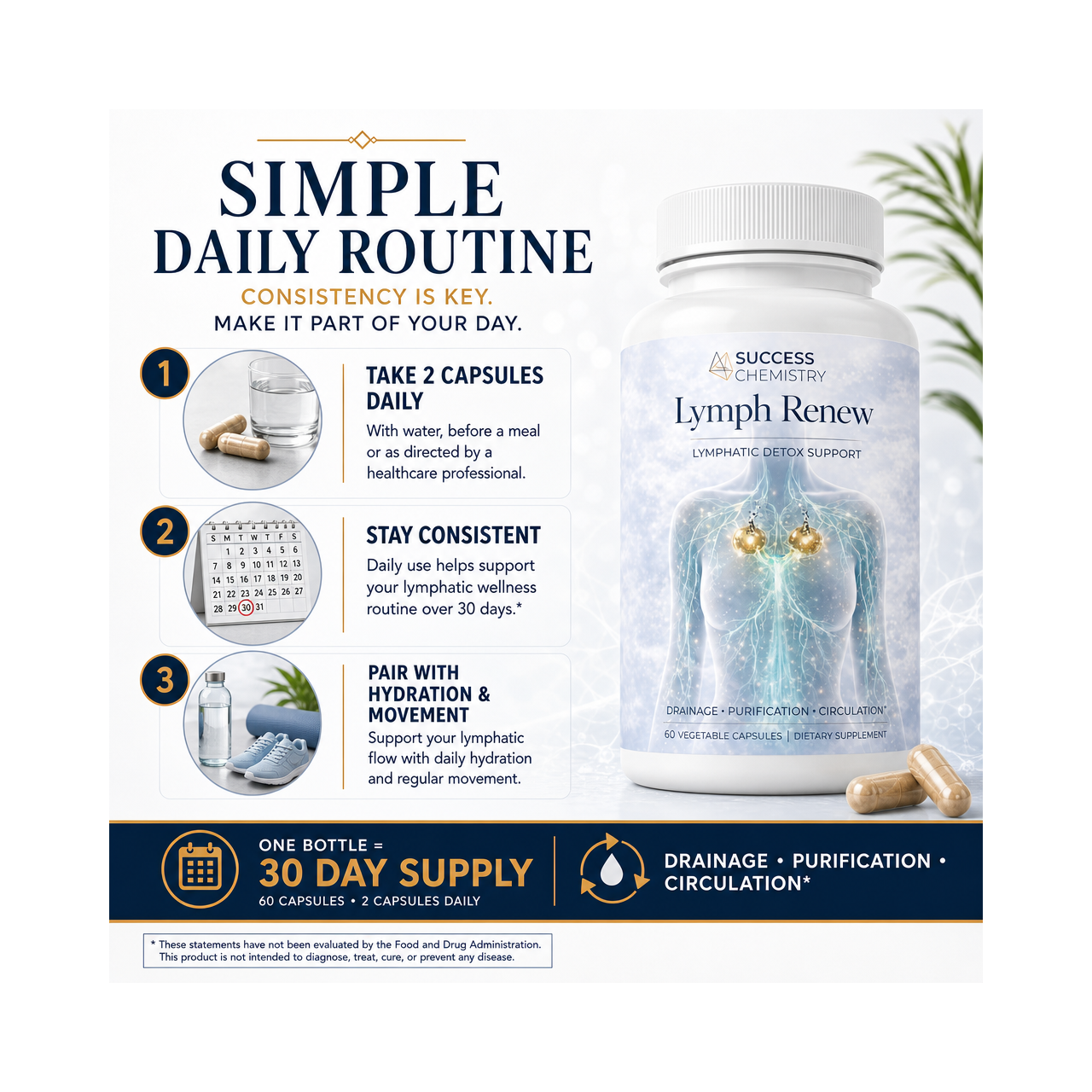 Success Chemistry Lymph Renew - Lymphatic Support with Milk Thistle, Beetroot & Artichoke - 60 Capsules – image 4