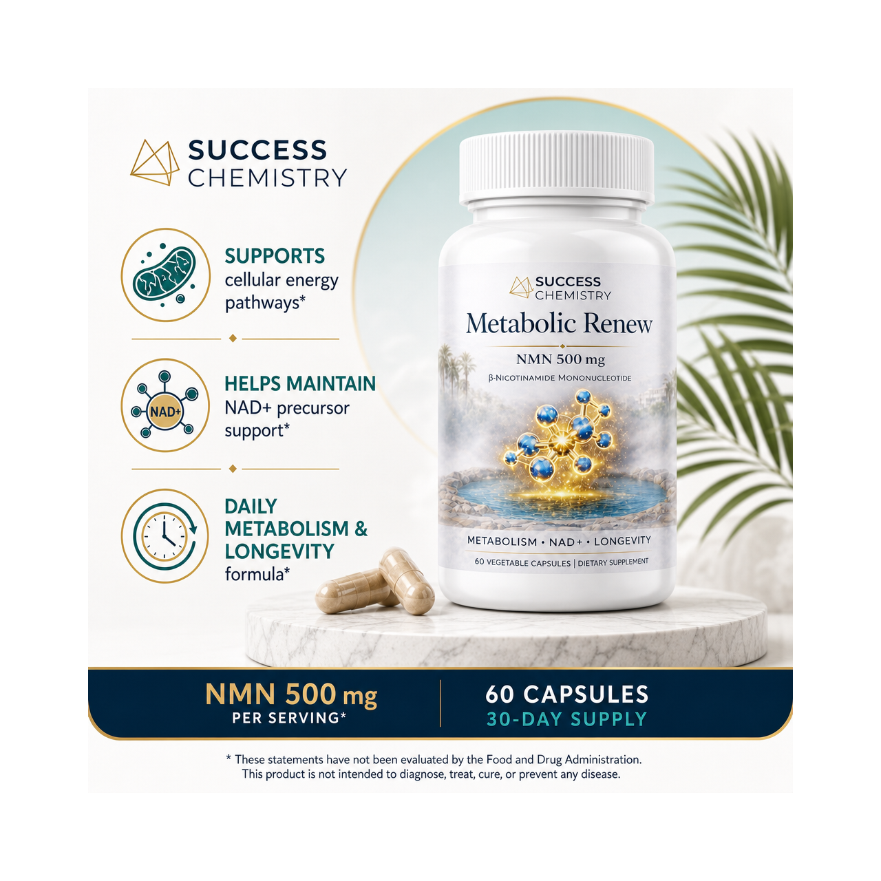 Success Chemistry Metabolic Renew - NMN 500 mg NAD+ Precursor Support - 60 Capsules – image 2